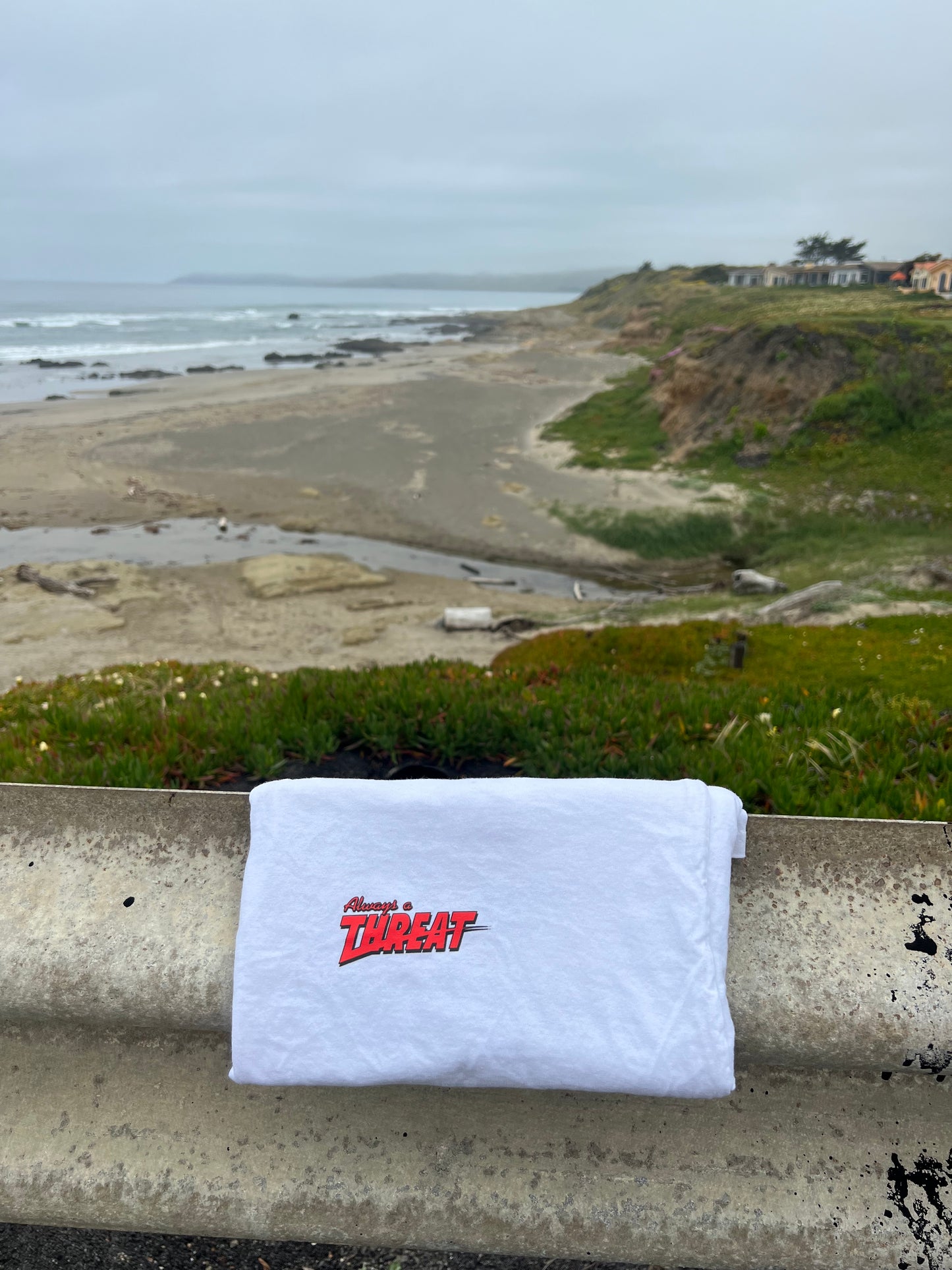 OG Tee